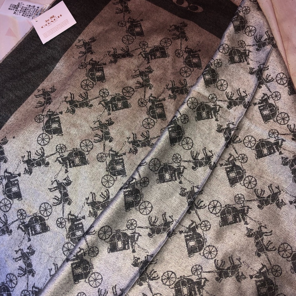 Coach scarf